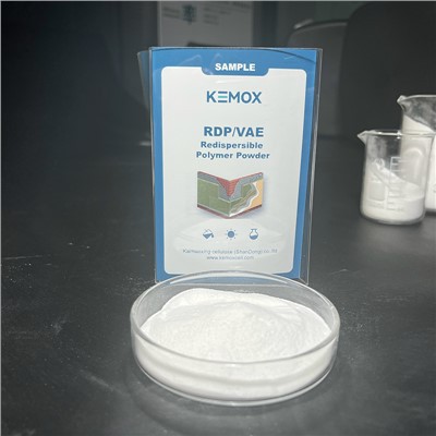 Redispersible Polymer Powders Additives
